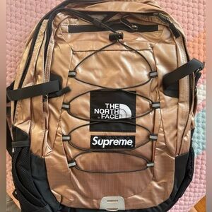 Supreme the north face backpack